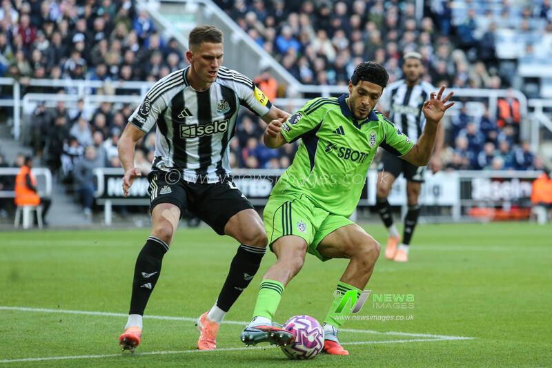 Premier League Newcastle United v Fulham