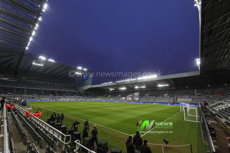 UEFA Champions League Matchday 7 of 8 Newcastle United v PSV Eindhoven