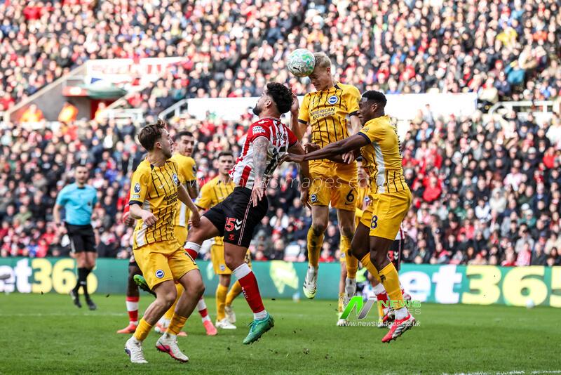 Premier League: Sunderland v Brighton & Hove Albion