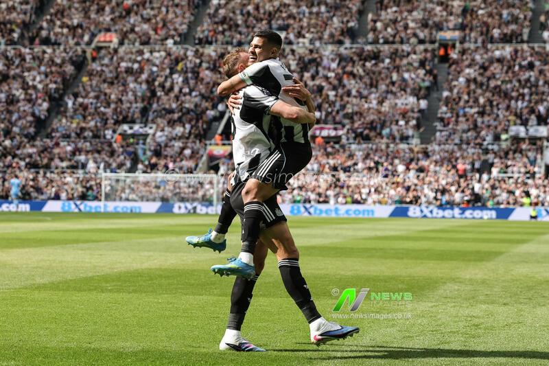 Premier League: Newcastle Untied v Brighton & Hove Albion