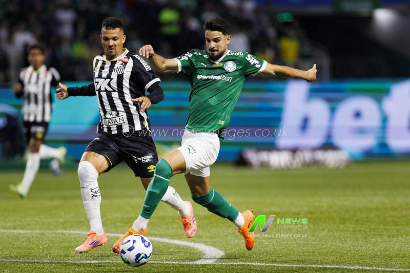 Palmeiras v Santos - Brasileirão Betano 2025