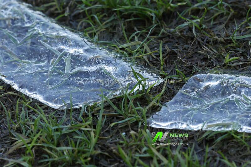 URC BKT Round 8: Zebre Parma vs Benetton Rugby