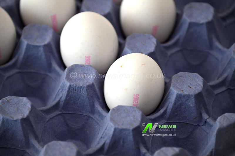 Egg shortage in Marseille, France - 14 Jan 2026