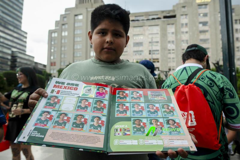 Mexico City Sticker Collectors