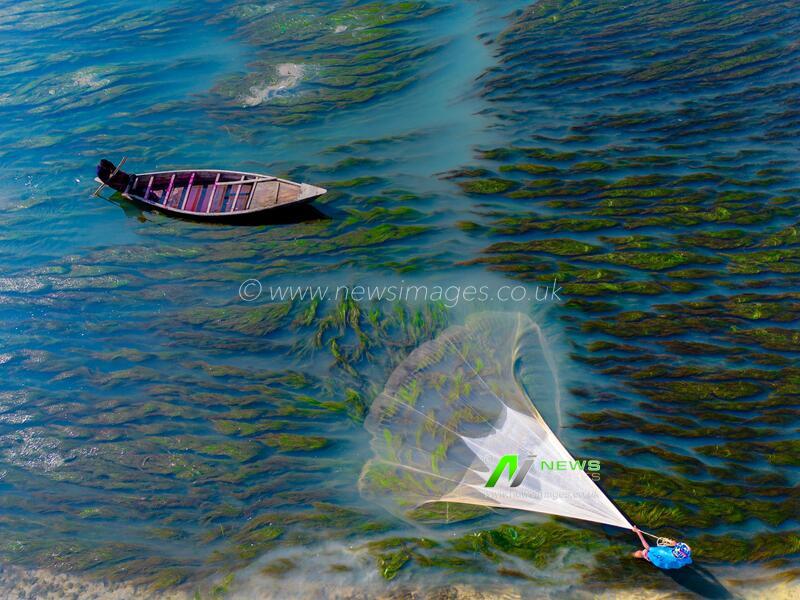 Traditional Cast-Net Fishing in Bangladesh