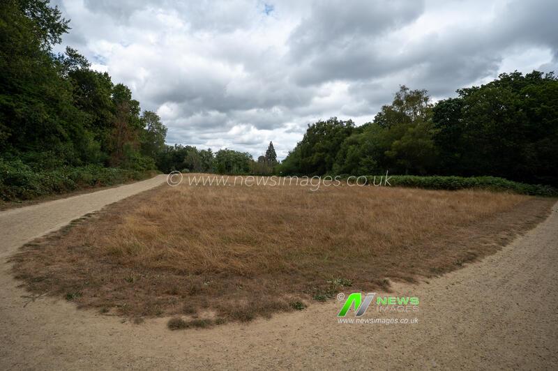 Drought Conditions in Epsom, UK - 04 Aug 2026