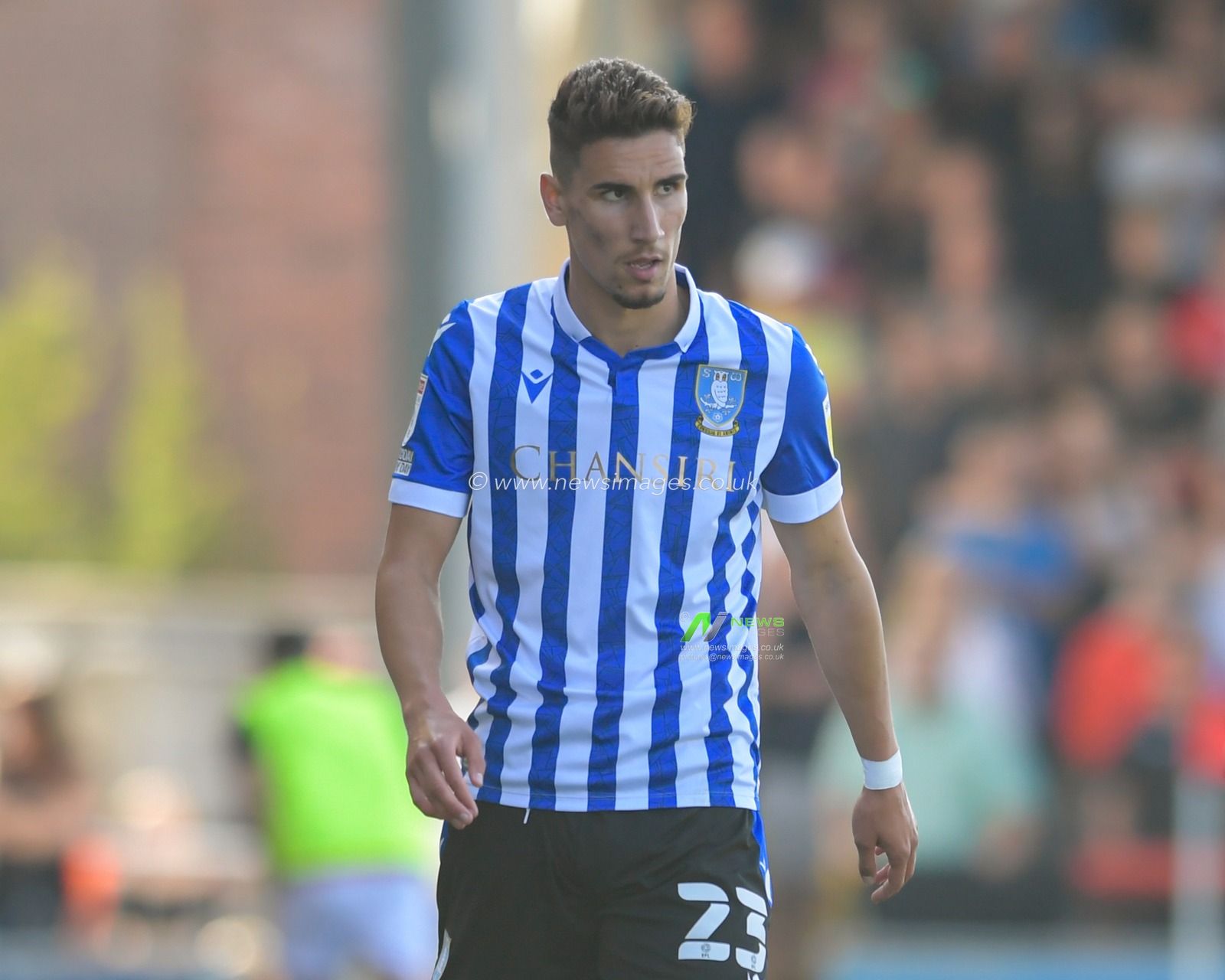 Theo Corbeanu #23 of Sheffield Wednesday in action during the game