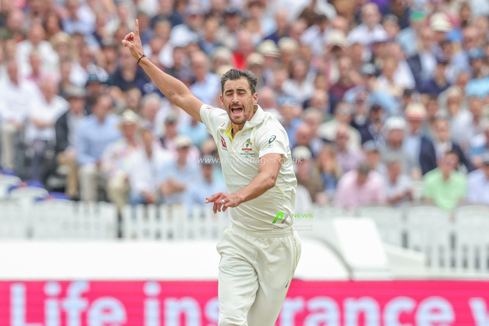 Mitchell Starc of Australia appeals to Jonny Bairstow of England during the LV= Insurance Ashes Test Series Second Test Day 3 England v Australia at Lords, London, United Kingdom, 30th June 2023

(Photo by Mark Cosgrove/News Images)