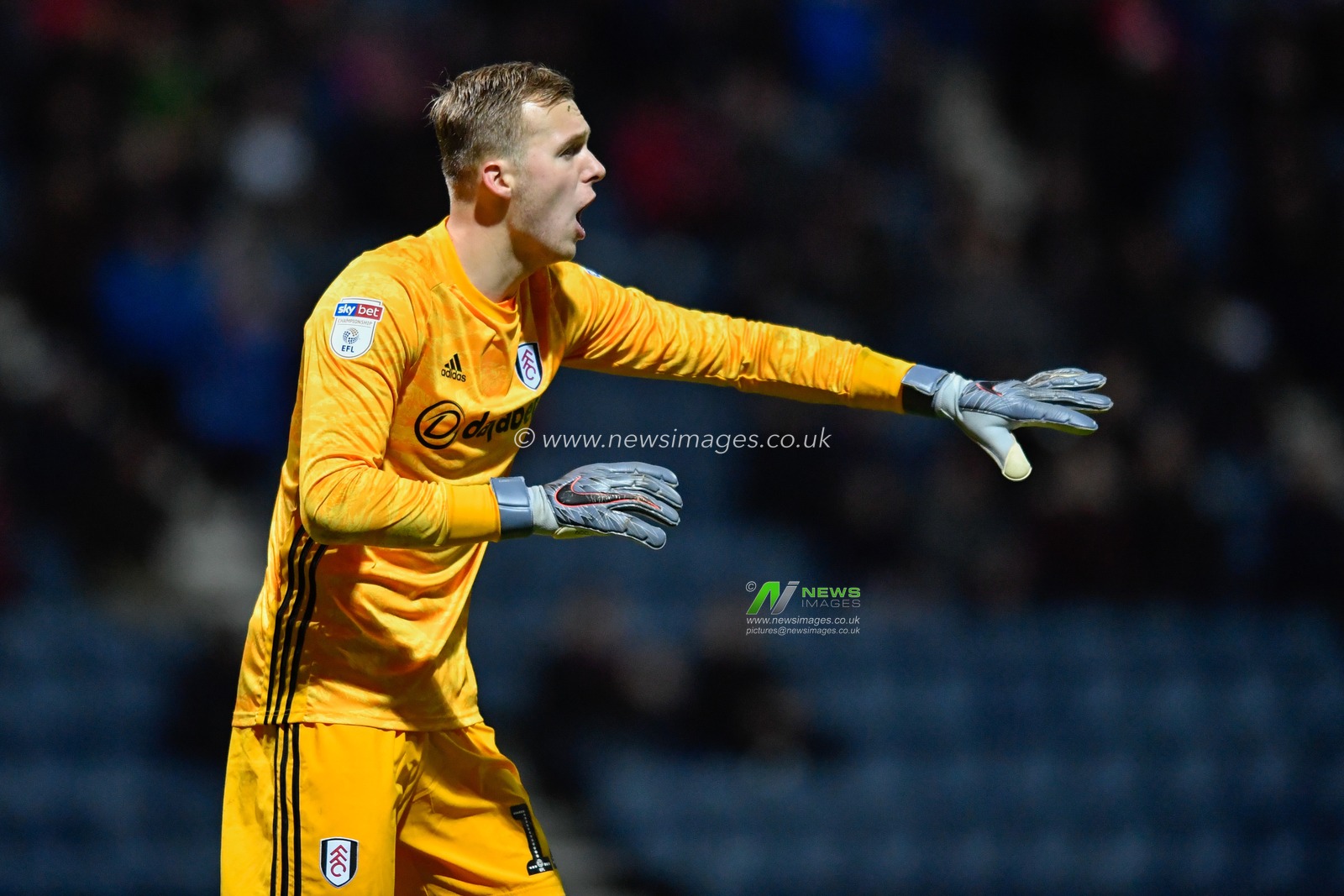 10th December 2019, Deepdale, Preston, England; Sky Bet Championship, Preston North End v Fulham : Marek Rodak (12) of Fulham shouts instructions to his defenders

Credit: Simon Whitehead/News Images