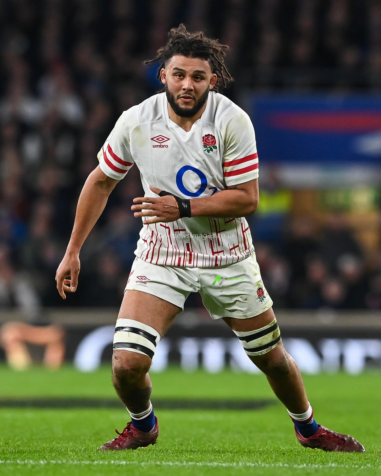Lewis Ludlam of England during the 2023 Guinness 6 Nations match England vs Scotland at Twickenham Stadium, Twickenham, United Kingdom, 4th February 2023

(Photo by Craig Thomas/News Images)
