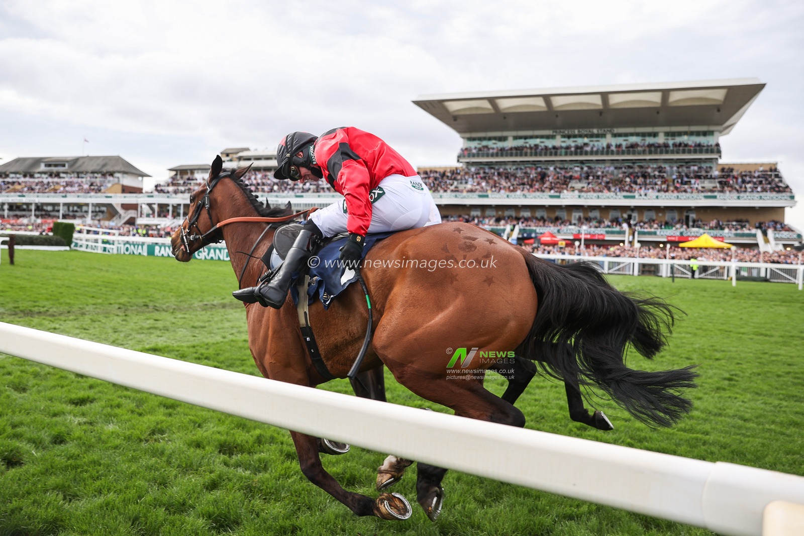 Gerri Colombe ridden by Jack Kennedy and Ahoy Senor ridden by Derek Fox battle for first place in the 2.55pmThe William Hill Bowl Steeple Chase (Class 1) during the Randox Grand National 2024 Opening Day at Aintree Racecourse, Liverpool, United Kingdom, 11th April 2024

(Photo by Mark Cosgrove/News Images)