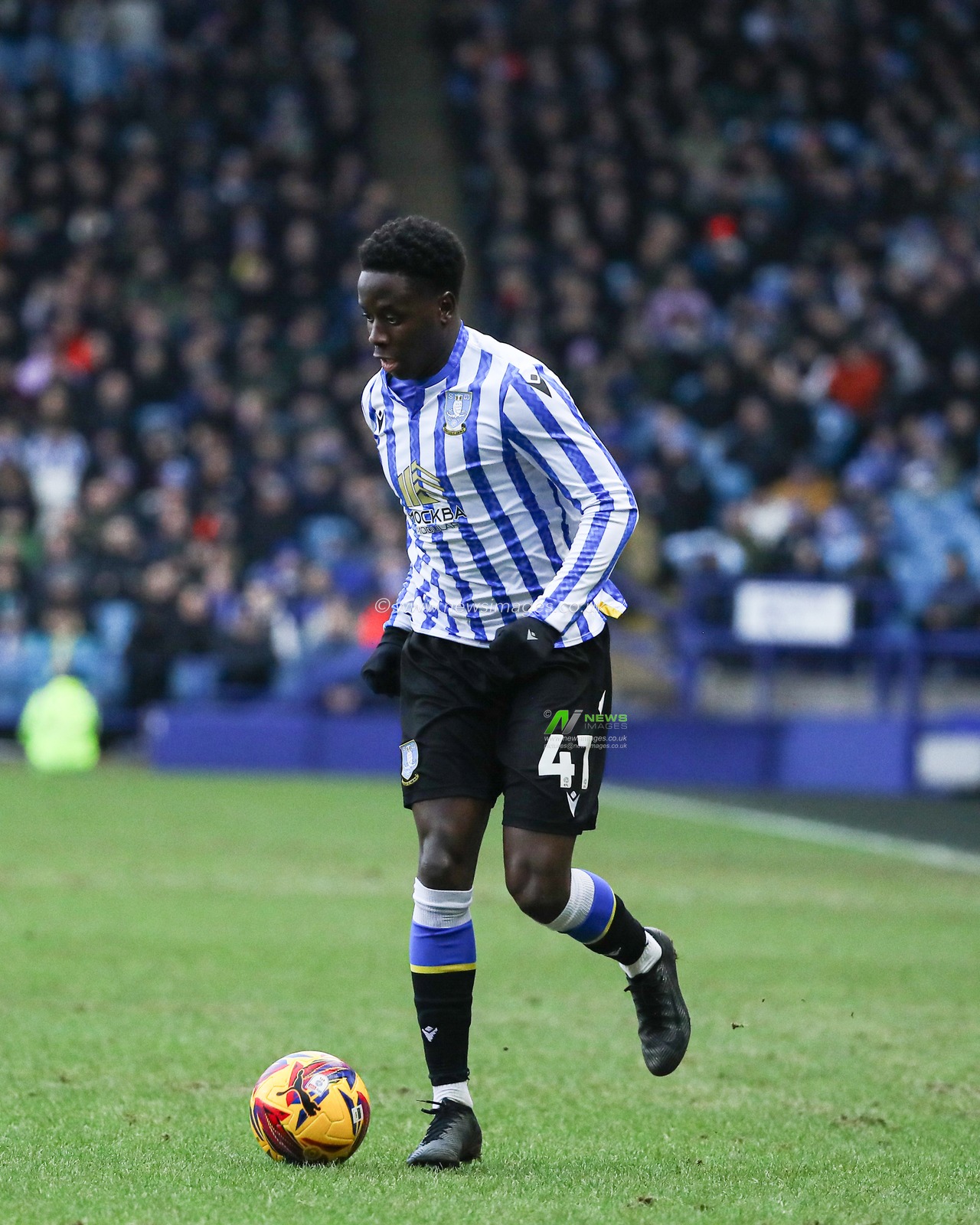 Djeidi Gassama of Sheffield Wednesday dribbles the ball forward during the Sky Bet Championship match Sheffield Wednesday vs Luton Town at Hillsborough, Sheffield, United Kingdom, 1st February 2025

(Photo by Jorge Horsted/News Images)