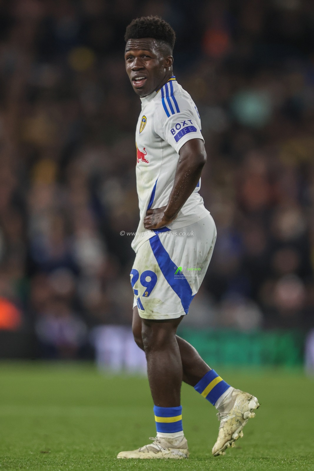 Wilfried Gnonto of Leeds United during the Sky Bet Championship match Leeds United vs Watford at Elland Road, Leeds, United Kingdom, 22nd October 2024

(Photo by Alfie Cosgrove/News Images)