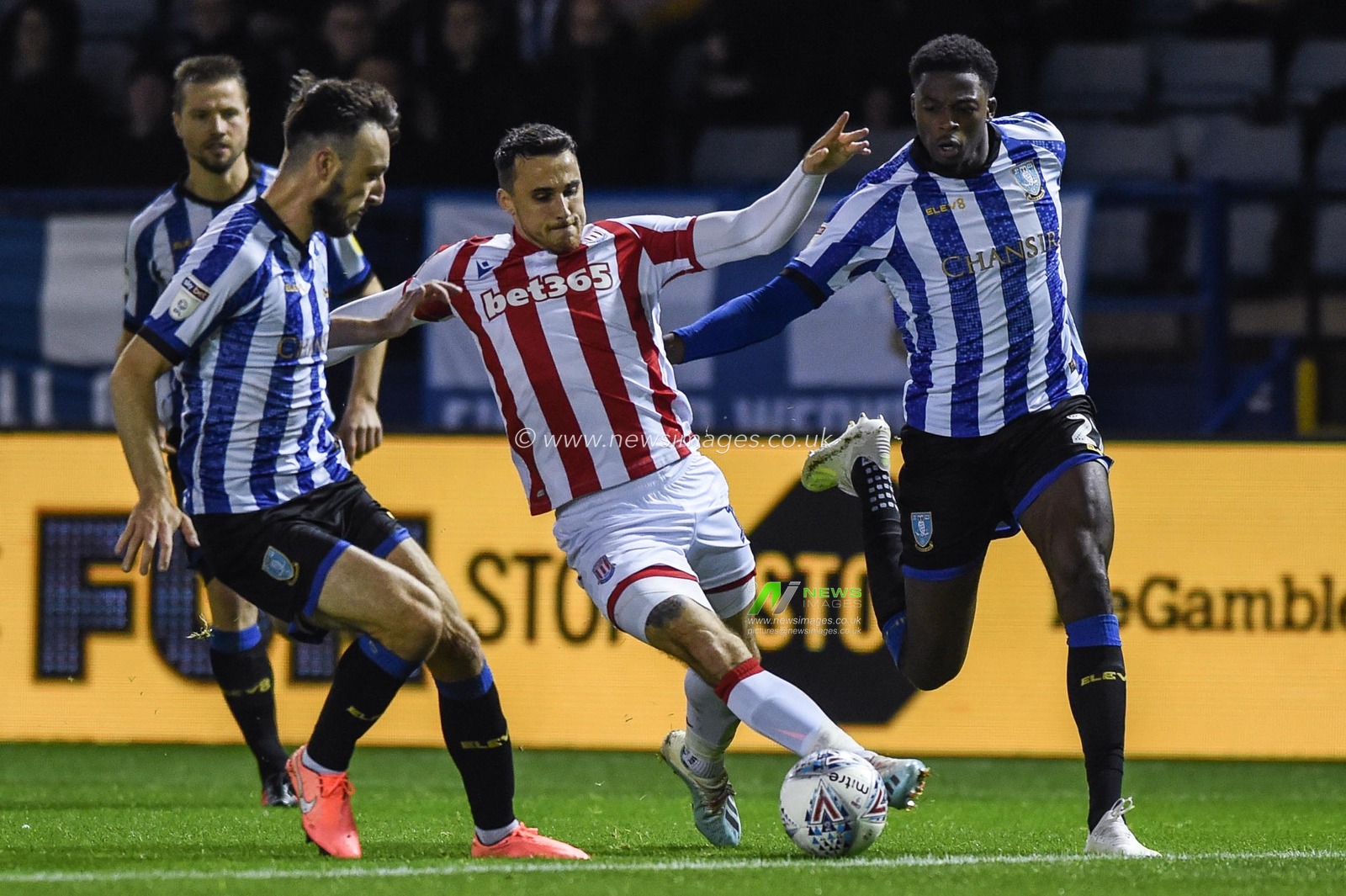 22nd October 2019, Hillsborough, Sheffield, England; Sky Bet Championship, Sheffield Wednesday v Stoke City : Lee Gregory (19) of Stoke City with the ball 
Credit: Dean Williams/News Images