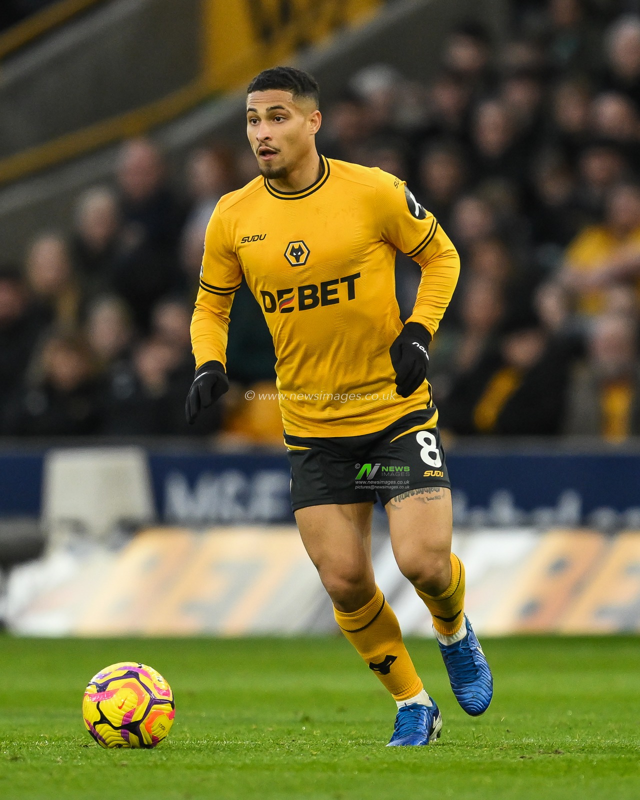 JoÃ£o Gomes of Wolverhampton Wanderers makes a break with the ball during the Premier League match Wolverhampton Wanderers vs Bournemouth at Molineux, Wolverhampton, United Kingdom, 30th November 2024

(Photo by Craig Thomas/News Images)