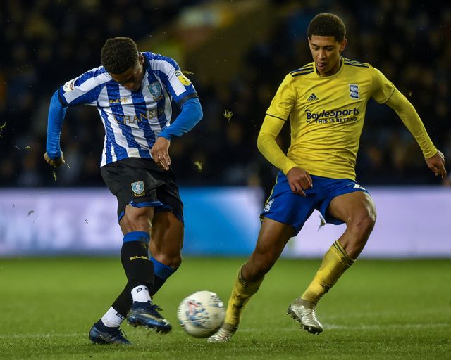 Sky Bet Championship Sheffield Wednesday v Birmingham City
