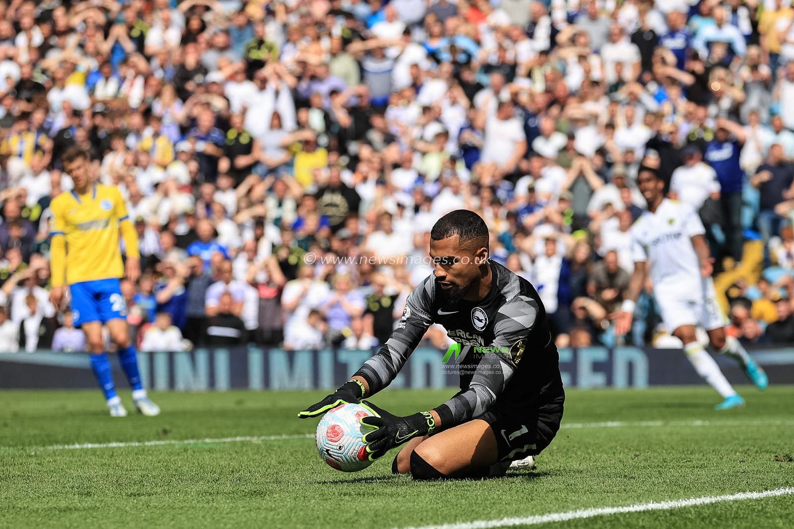 Robert Sanchez #1 of Brighton & Hove Albion makes a save