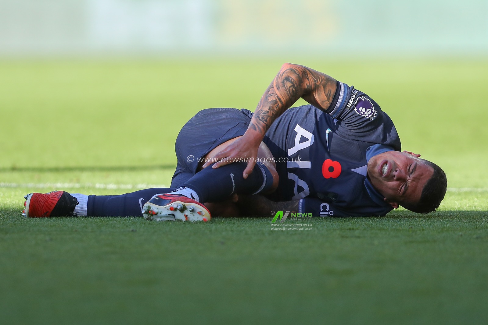 Pedro Porro #23 of Tottenham Hotspur goes down injured during the Premier League match Wolverhampton Wanderers vs Tottenham Hotspur at Molineux, Wolverhampton, United Kingdom, 11th November 2023

(Photo by Gareth Evans/News Images)