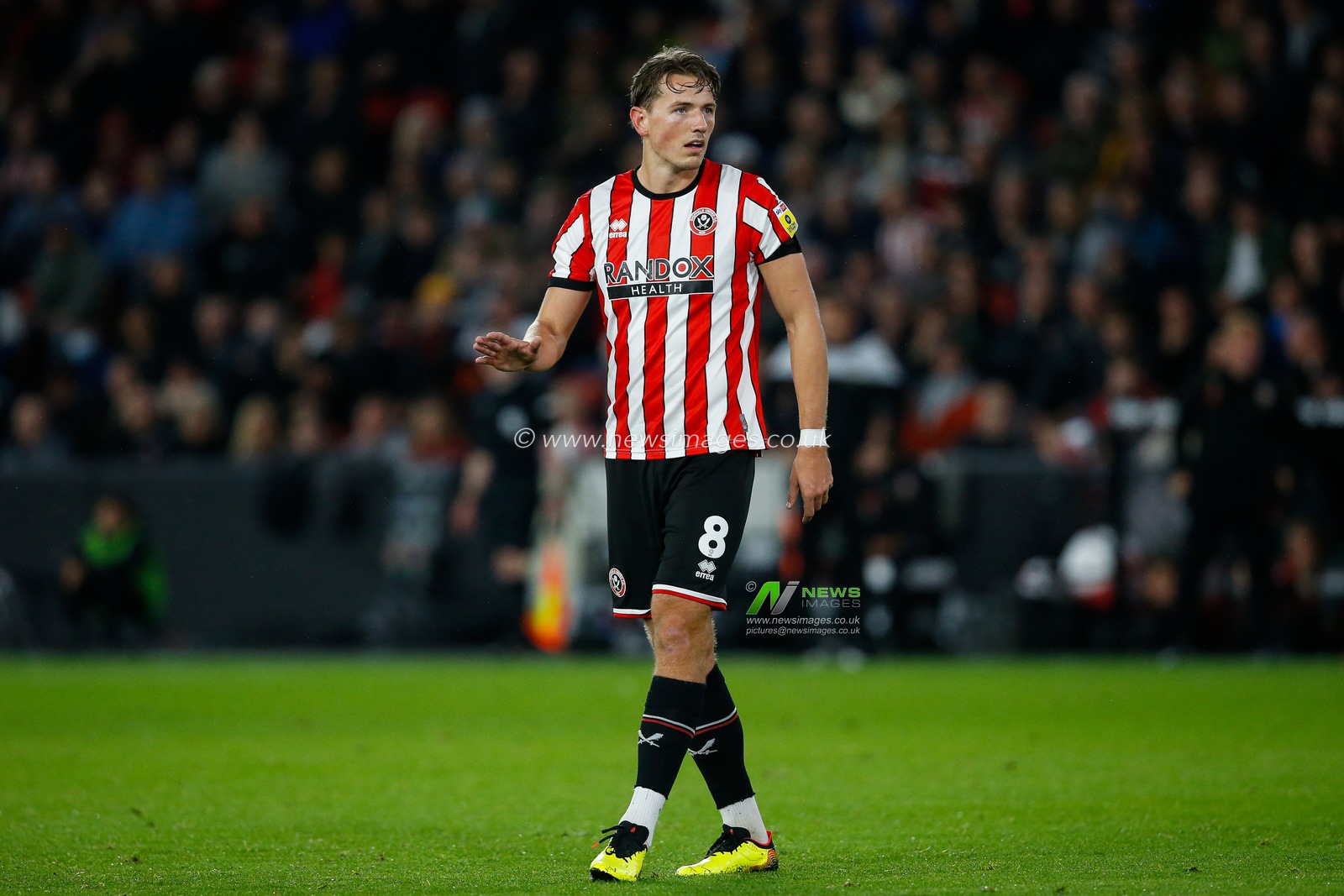 Sander Berge #8 of Sheffield United during the Sky Bet Championship match Sheffield United vs Queens Park Rangers at Bramall Lane, Sheffield, United Kingdom, 4th October 2022

(Photo by Ben Early/News Images)