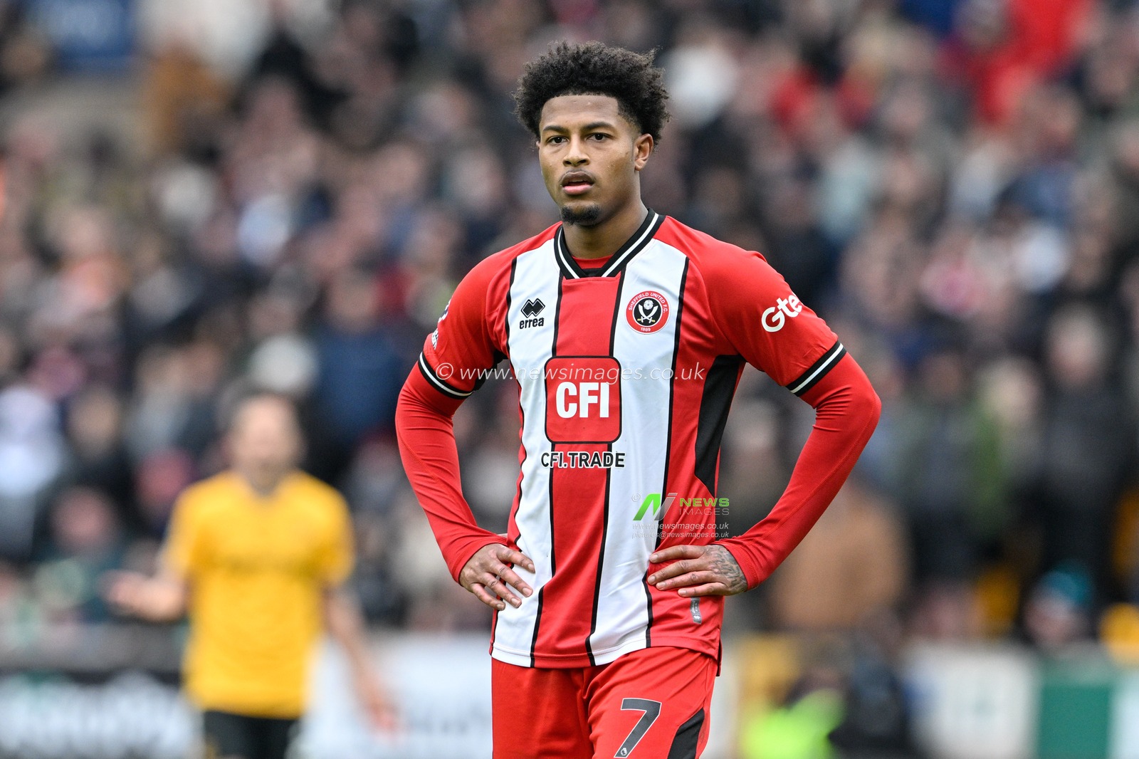 Rhian Brewster of Sheffield United during the Premier League match Wolverhampton Wanderers vs Sheffield United at Molineux, Wolverhampton, United Kingdom, 25th February 2024

(Photo by Cody Froggatt/News Images)