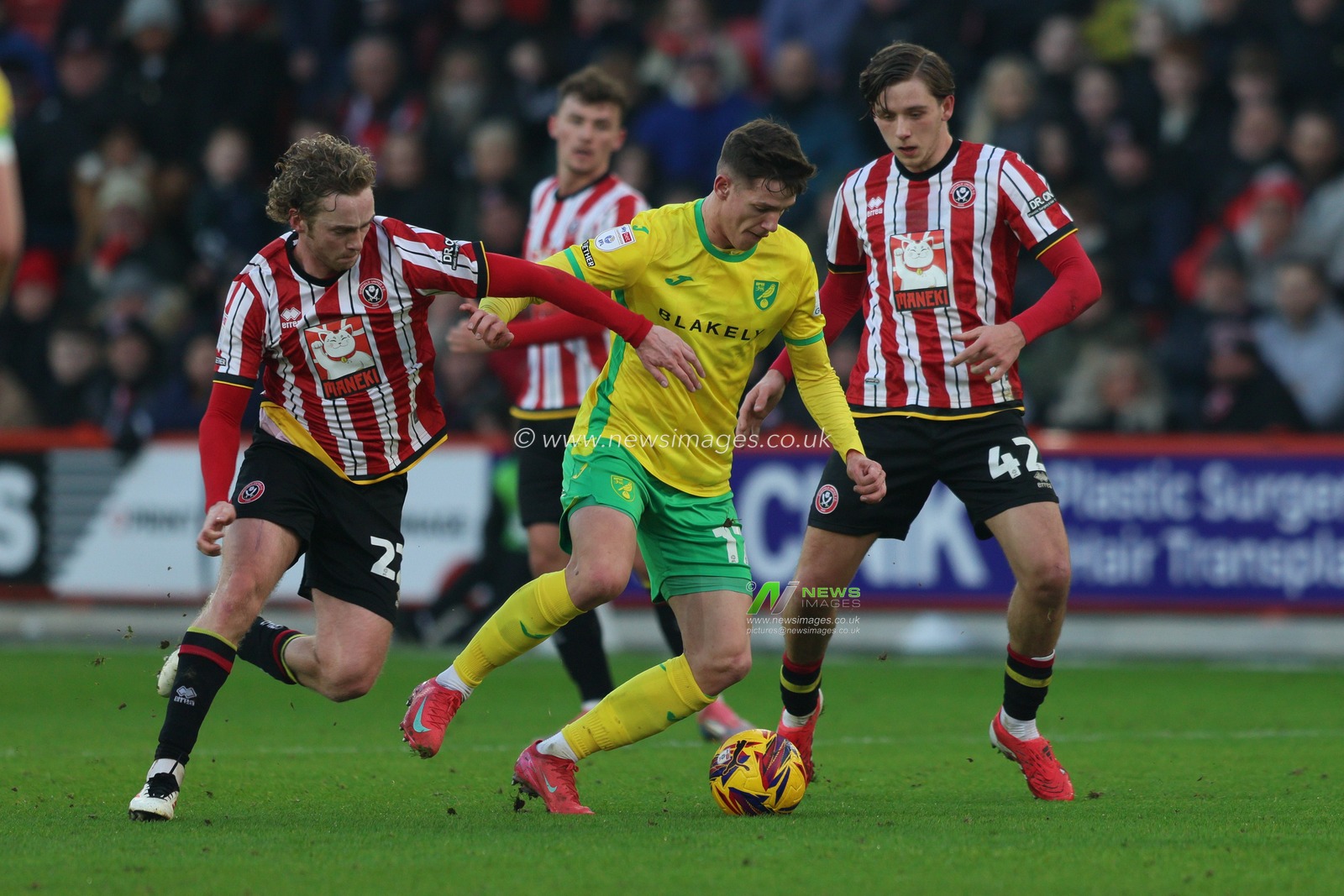 Ante Crnac of Norwich City  is pressed by Tom Davies of Sheffield United during the Sky Bet Championship match Sheffield United vs Norwich City at Bramall Lane, Sheffield, United Kingdom, 18th January 2025

(Photo by Alex Roebuck/News Images)