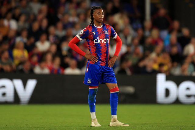 Premier League Crystal Palace v Brentford