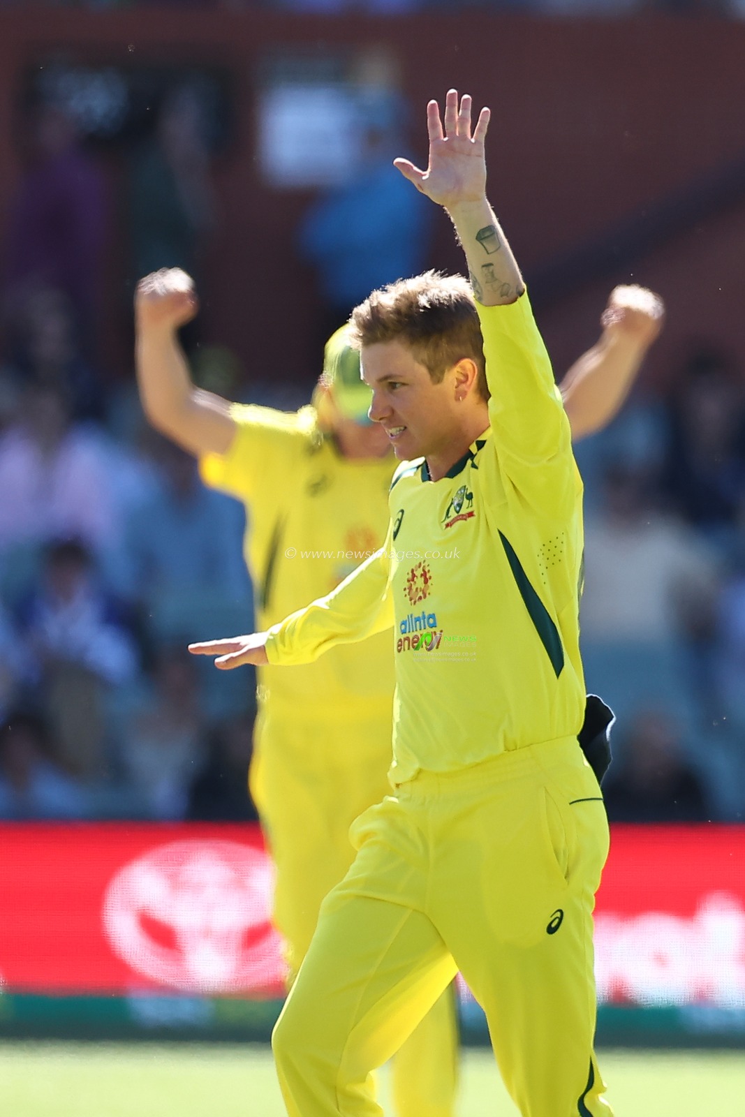 Adam Zampa of Australia dismisses Chris Jordan of England during the Dettol ODI Series match Australia vs England at Adelaide Oval, Adelaide, Australia, 17th November 2022

(Photo by Patrick Hoelscher/News Images)