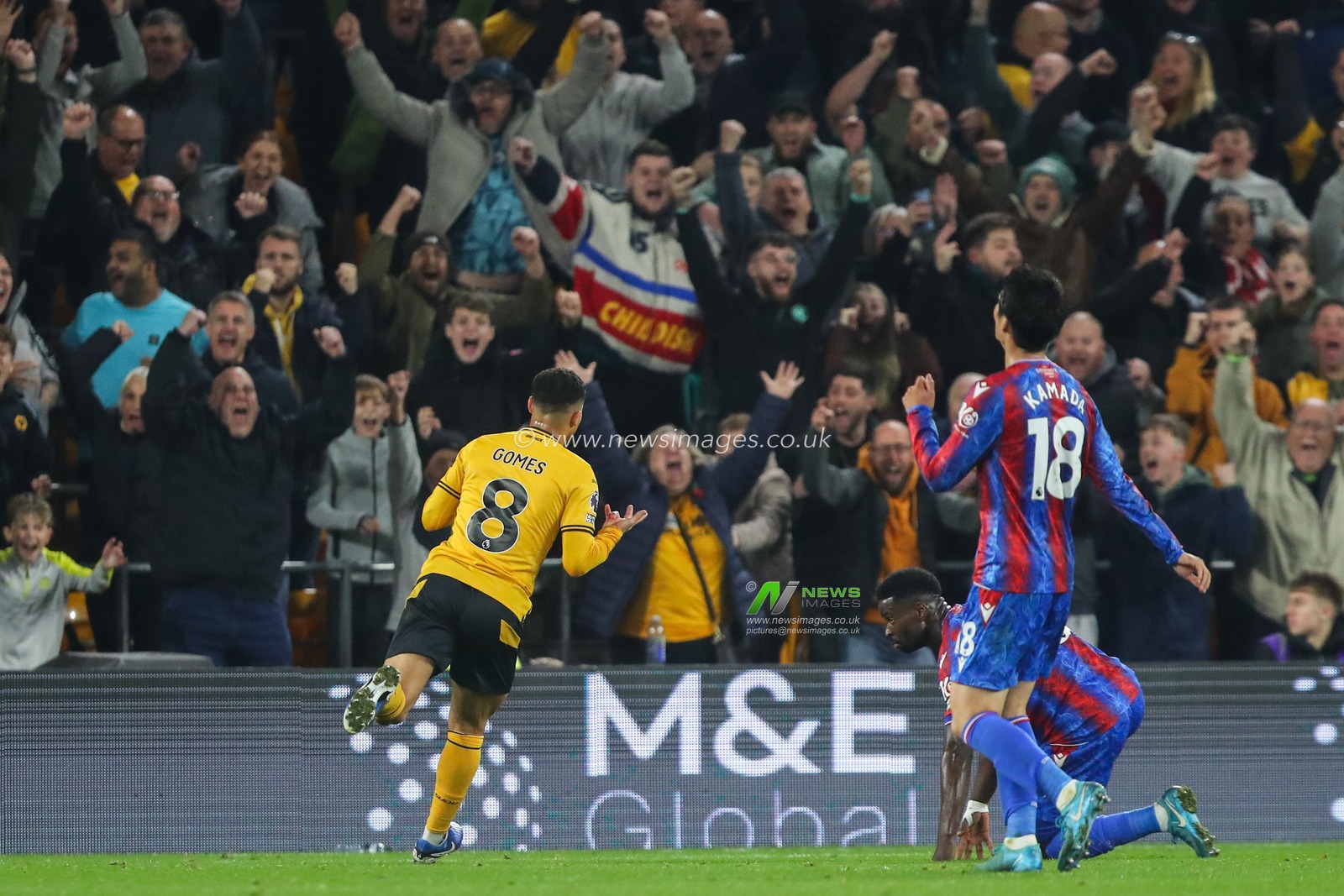 JoÃ£o Gomes of Wolverhampton Wanderers celebrates his goal to make it 2-1 during the Premier League match Wolverhampton Wanderers vs Crystal Palace at Molineux, Wolverhampton, United Kingdom, 2nd November 2024

(Photo by Gareth Evans/News Images)