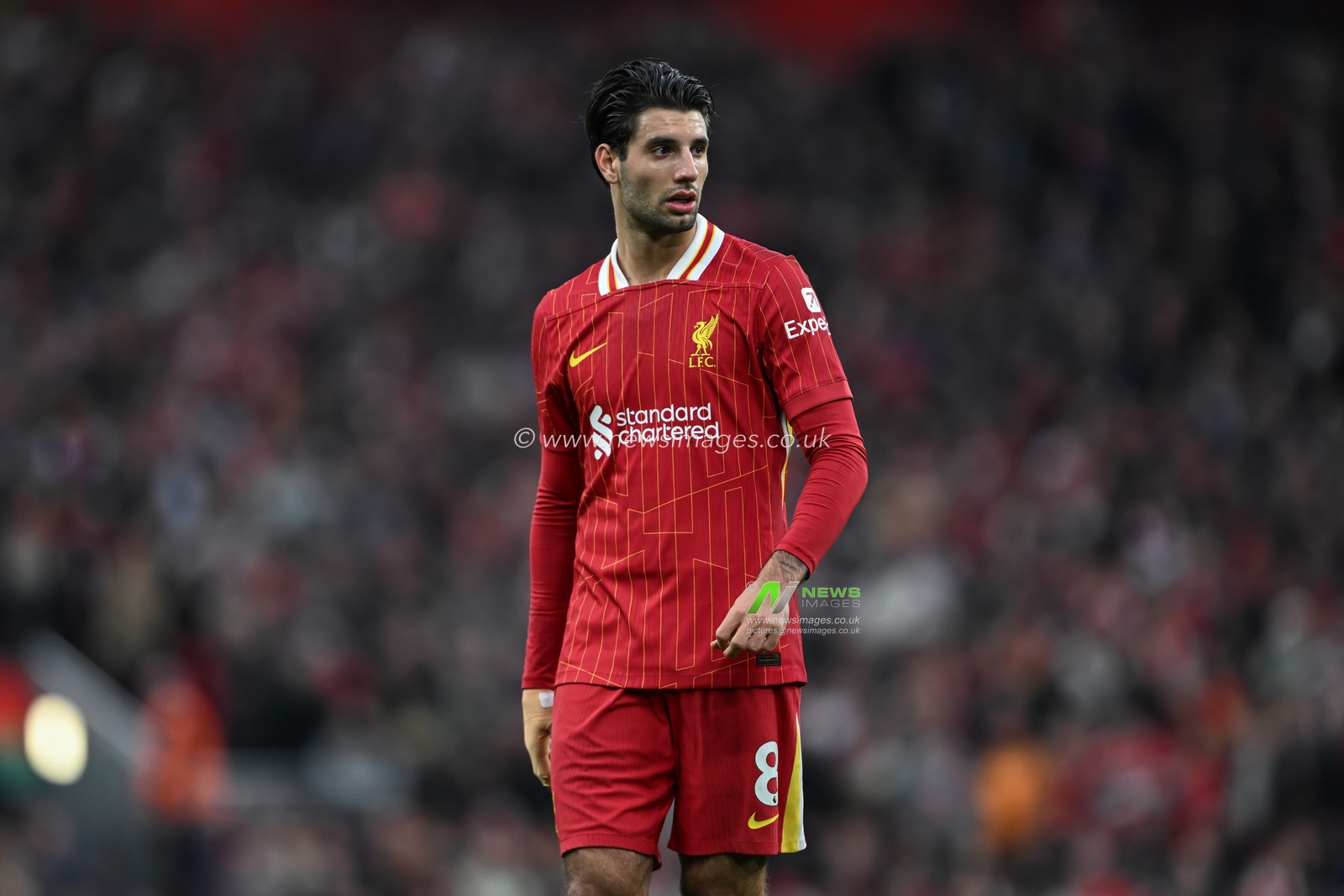 Dominik Szoboszlai of Liverpool during the Premier League match Liverpool vs Brighton and Hove Albion at Anfield, Liverpool, United Kingdom, 2nd November 2024

(Photo by Cody Froggatt/News Images)