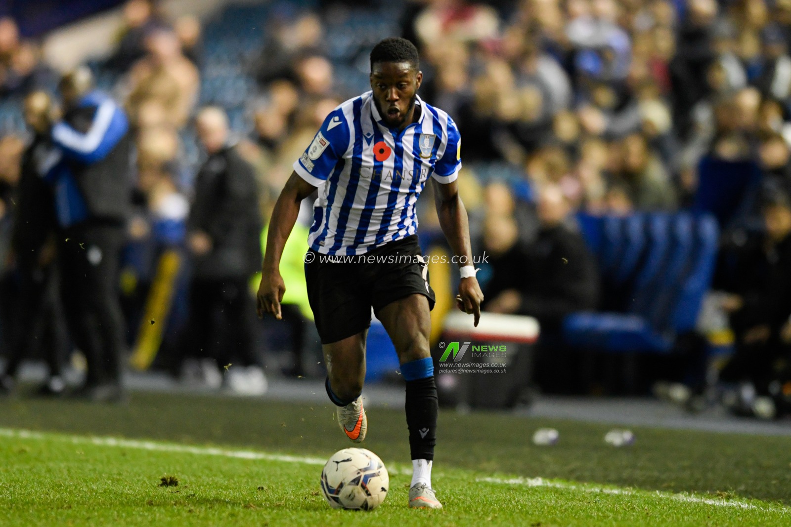 Olamide Shodipo #7 of Sheffield Wednesday runs forward with the ball