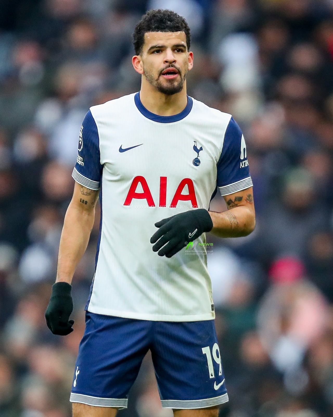 Dominic Solanke of Tottenham Hotspur looks on during the Premier League match Tottenham Hotspur vs Newcastle United at Tottenham Hotspur Stadium, London, United Kingdom, 4th January 2025

(Photo by Izzy Poles/News Images)