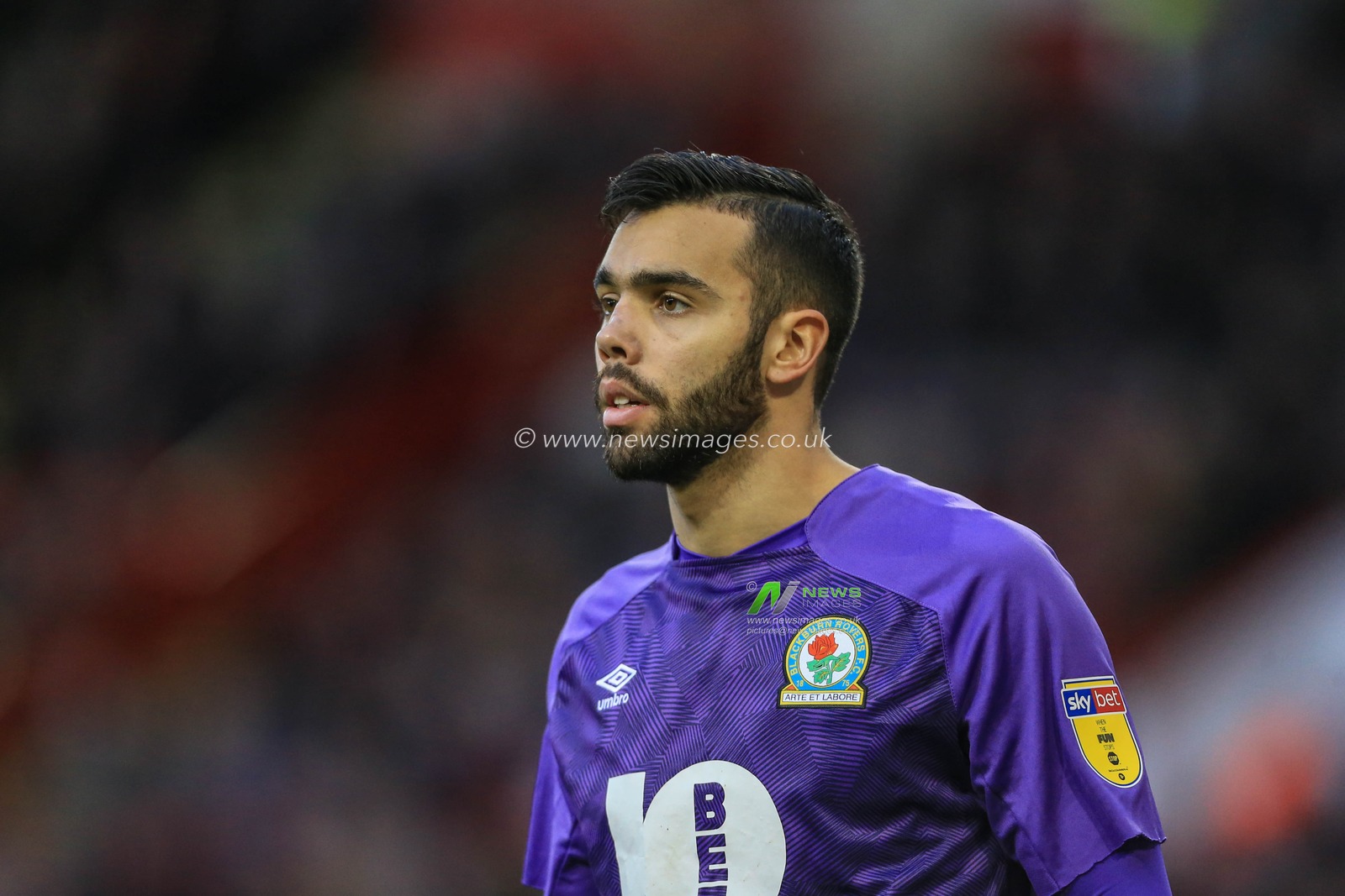 29th December 2018, Bramall Lane, Sheffield, England; Sky Bet Championship, Sheffield United vs Blackburn ; David Raya (01) of Blackburn during the game


Credit: Mark Cosgrove/News Images

English Football League images are subject to DataCo Licence