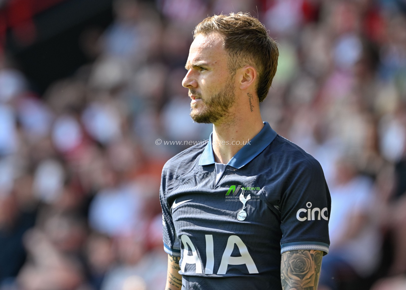 James Maddison of Tottenham Hotspur, during the Premier League match Sheffield United vs Tottenham Hotspur at Bramall Lane, Sheffield, United Kingdom, 19th May 2024

(Photo by Cody Froggatt/News Images)