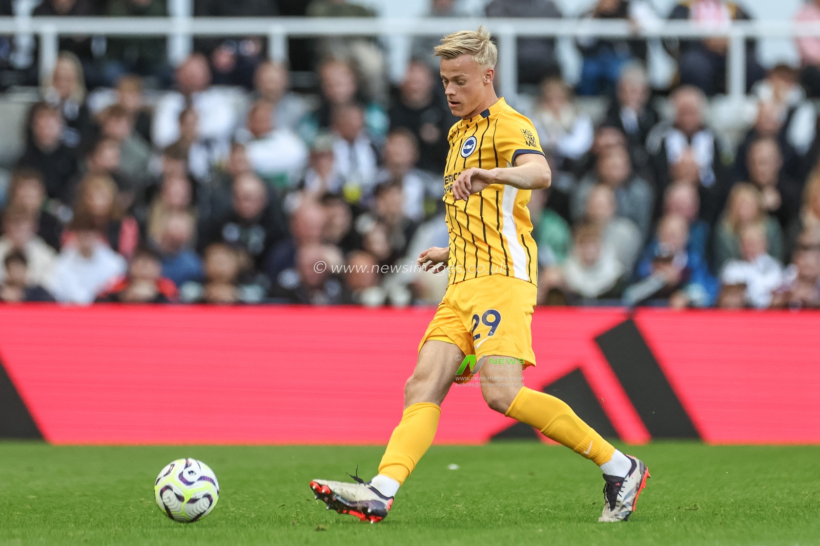 dJan Paul van Hecke of Brighton & Hove Albion passes the ball uring the Premier League match Newcastle United vs Brighton and Hove Albion at St. James's Park, Newcastle, United Kingdom, 19th October 2024

(Photo by Mark Cosgrove/News Images)