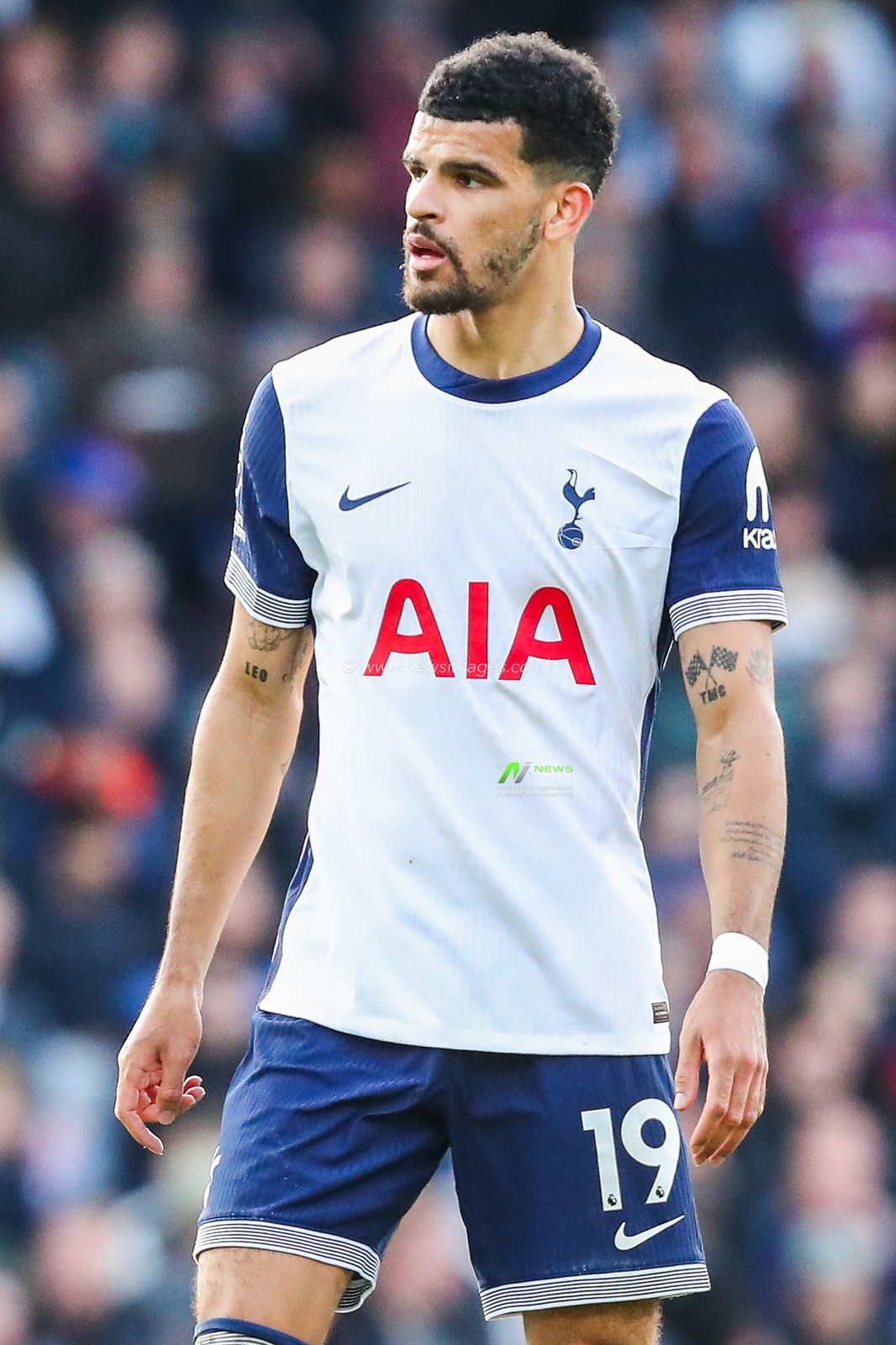 Dominic Solanke of Tottenham Hotspur looks on during the Premier League match Crystal Palace vs Tottenham Hotspur at Selhurst Park, London, United Kingdom, 27th October 2024

(Photo by Izzy Poles/News Images)
