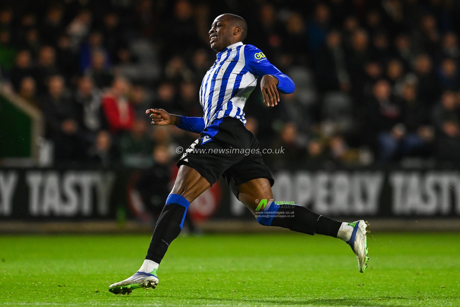 Dennis Adeniran #8 of Sheffield Wednesday during the game