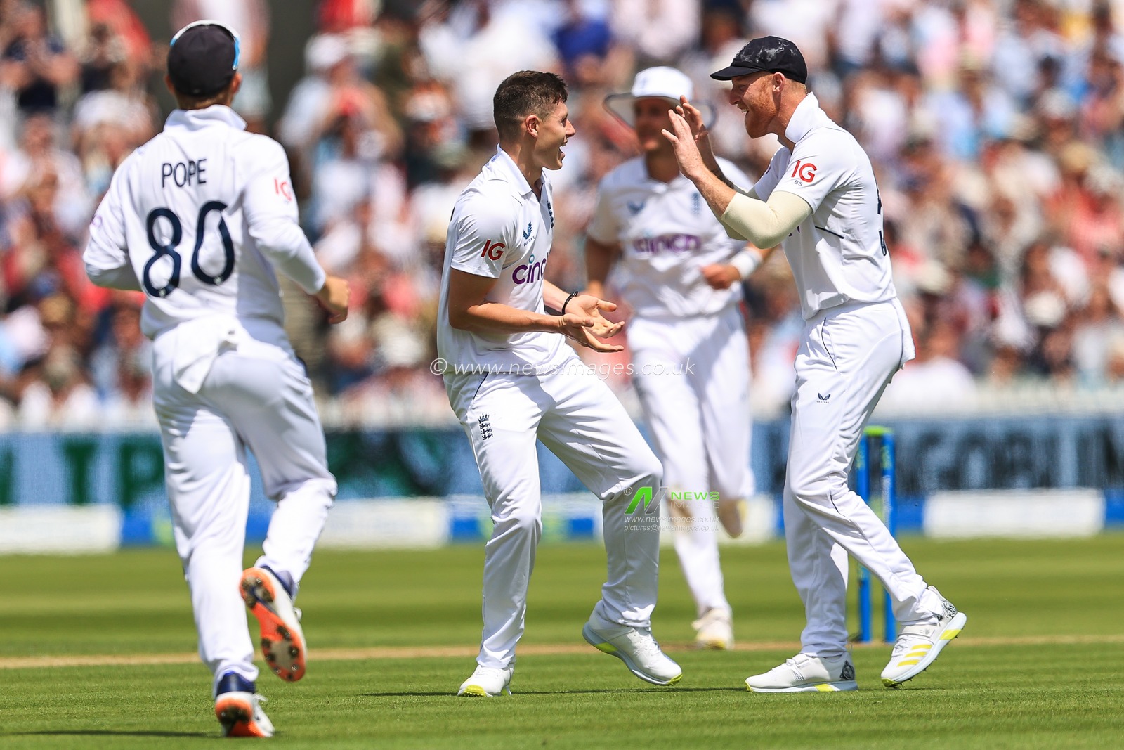 Matthew Potts of England celebrates bowling Tom Blundell of New Zealand
