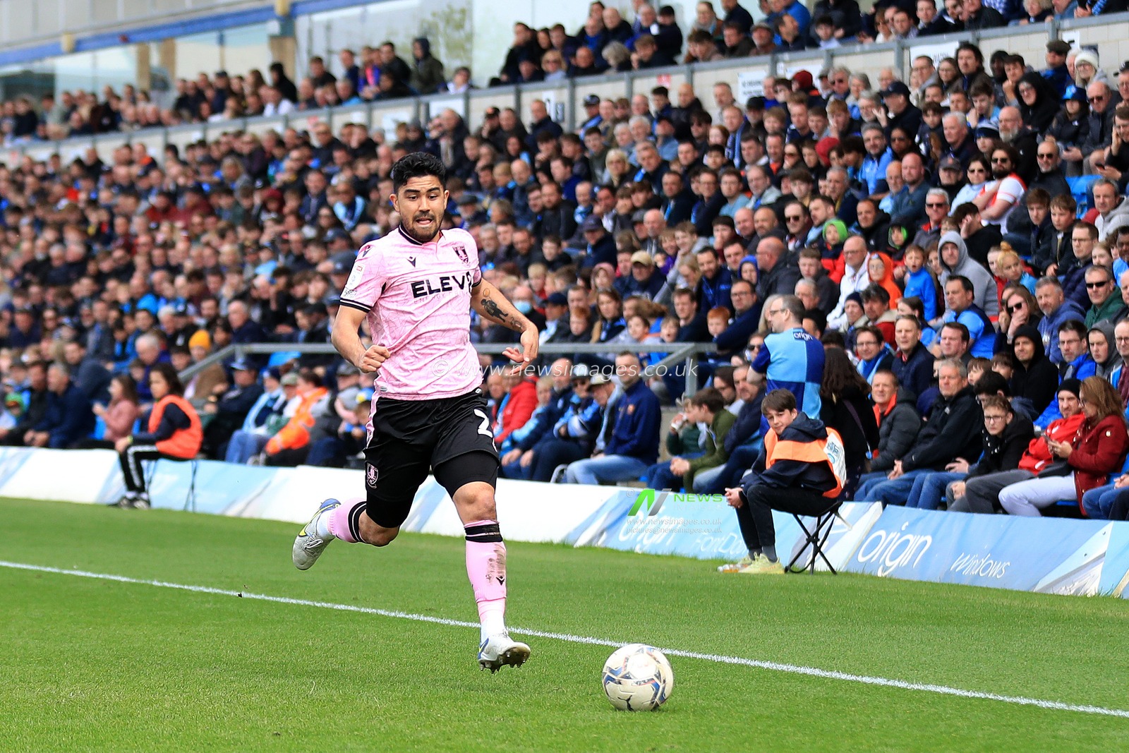 Massimo Luongo #21 of Sheffield Wednesday in action.