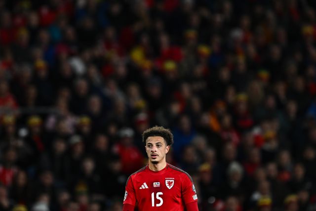 UEFA Euro Qualifiers Play-Off Semi-Final Wales v Finland