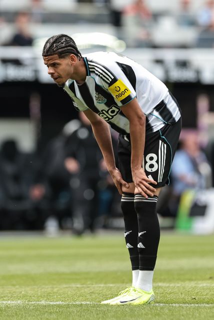 Premier League: Newcastle Untied v Brighton & Hove Albion
