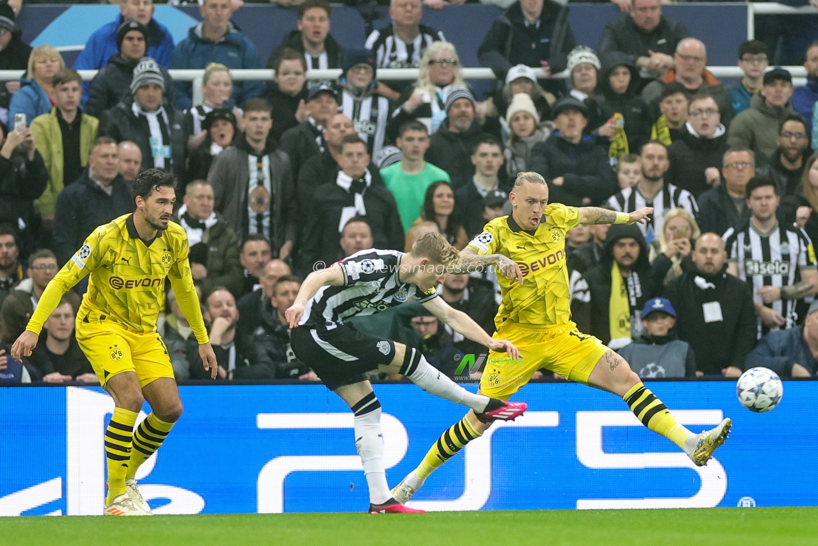 Anthony Gordon #10 of Newcastle United shoots on goal forcing goalkeeper to make a fingertip save during the UEFA Champions League match Newcastle United vs Borussia Dortmund at St. James's Park, Newcastle, United Kingdom, 25th October 2023

(Photo by Mark Cosgrove/News Images)