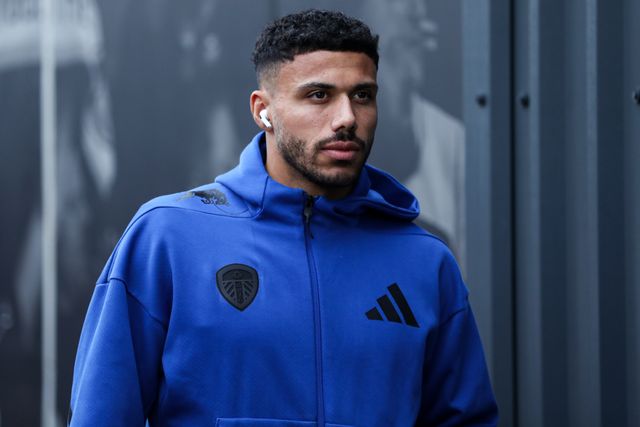Premier League Leeds United v Fulham