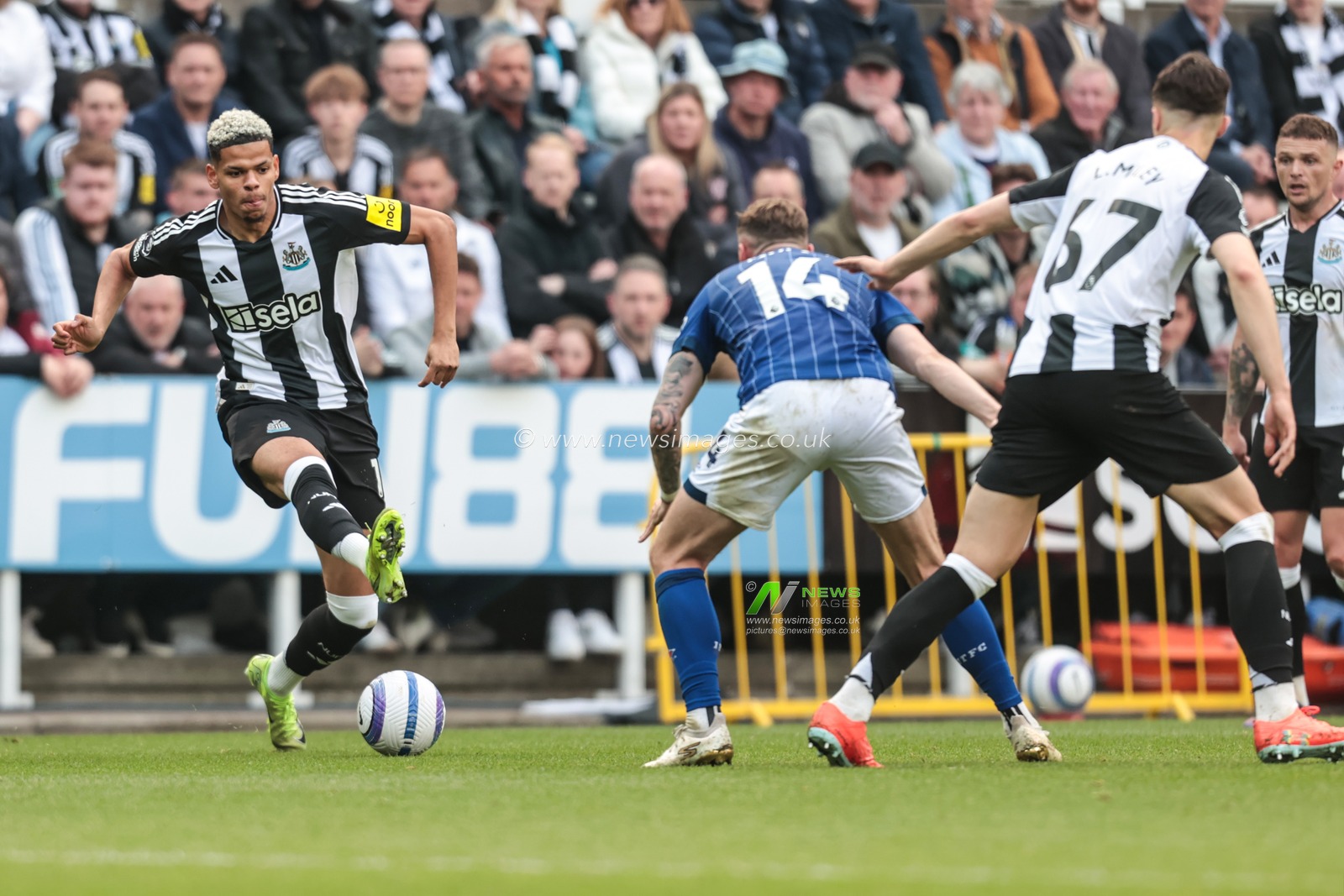William Osula of Newcastle United in action during the Premier League match Newcastle United vs Ipswich Town at St. James's Park, Newcastle, United Kingdom, 25th April 2025

(Photo by Richard Bierton/News Images)