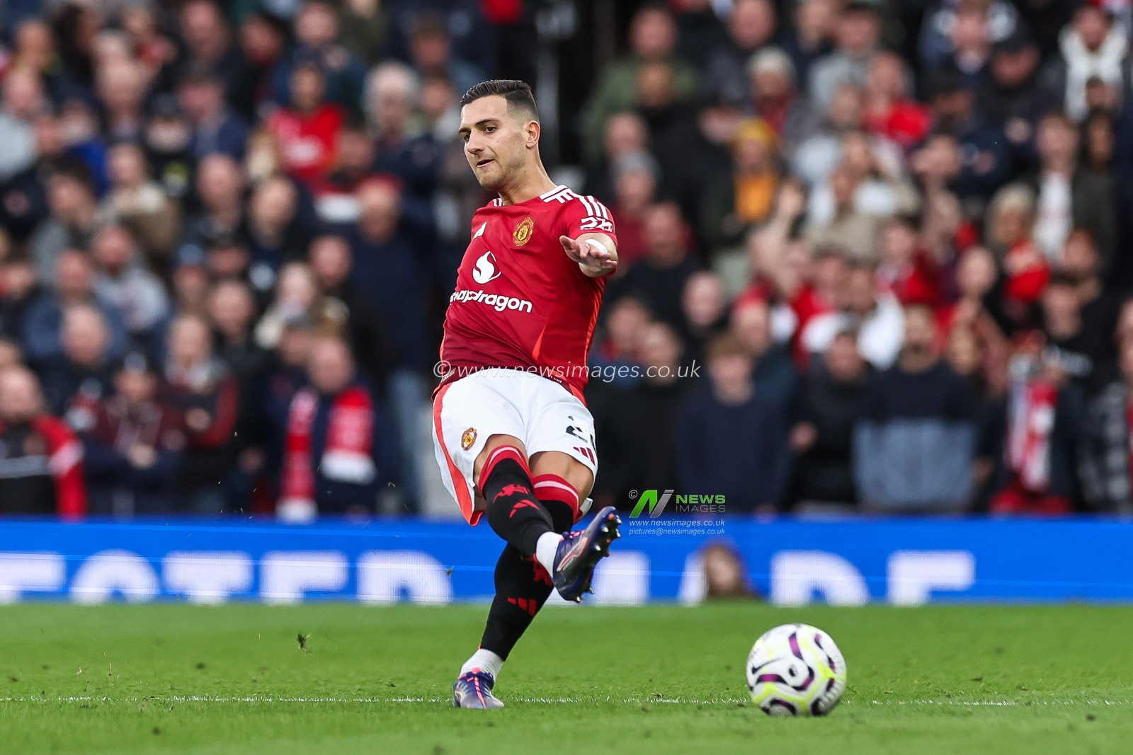 Diogo Dalot of Manchester United passes the ball during the Premier League match Manchester United vs Tottenham Hotspur at Old Trafford, Manchester, United Kingdom, 29th September 2024

(Photo by Mark Cosgrove/News Images)