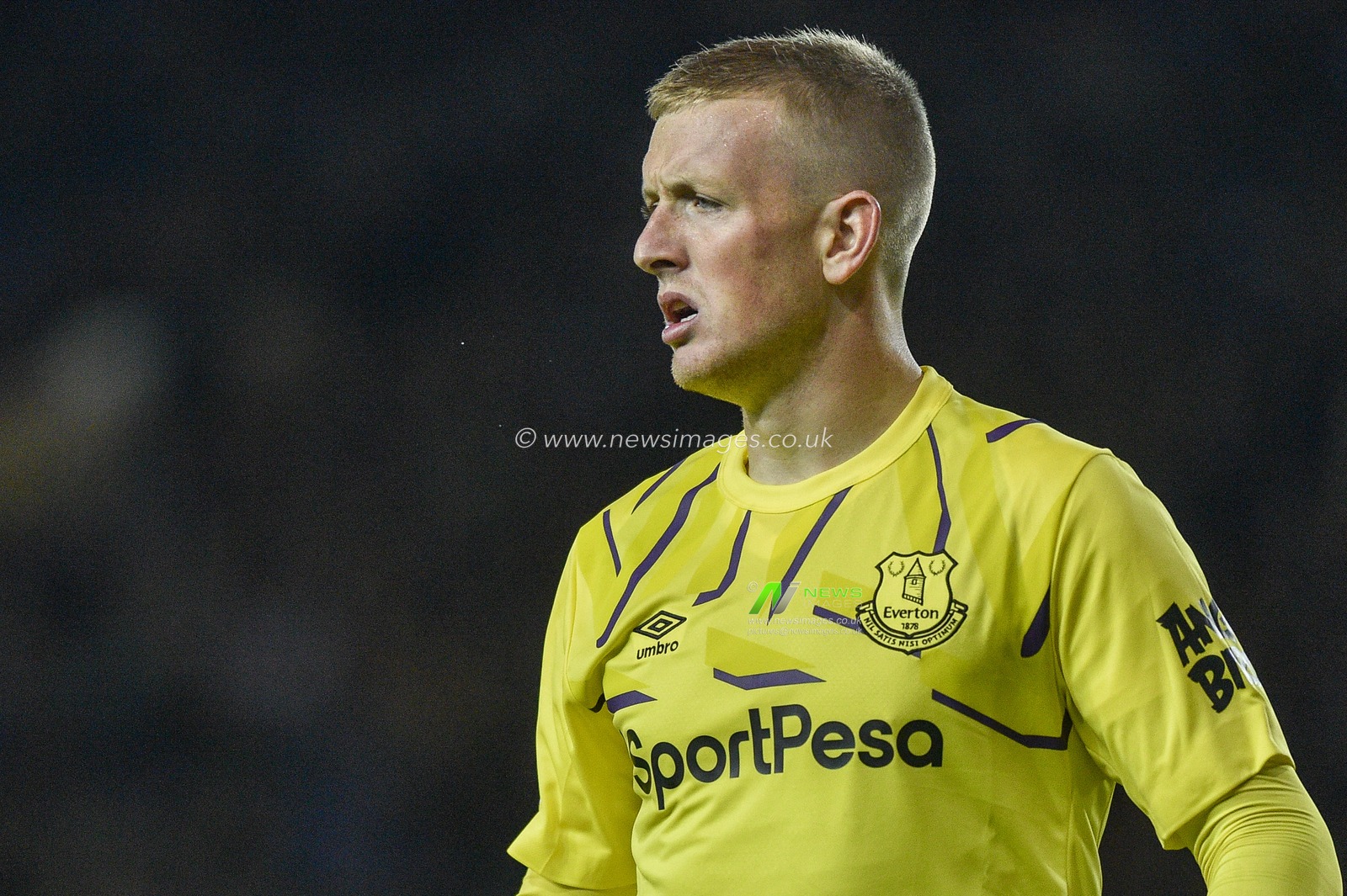 24th September 2019 , Hillsborough, Sheffield, England; EFL Carabao Cup Football, Third Round, Sheffield Wednesday vs Everton : Jordan Pickford(1) of Everton gives his defenders advice.
Credit: Dean Williams/News Images, 

English Football League images are subject to DataCo Licence