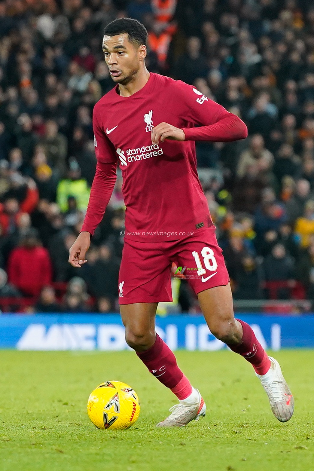 Cody Gakpo #18 of Liverpool during the Emirates FA Cup Third Round match Liverpool vs Wolverhampton Wanderers at Anfield, Liverpool, United Kingdom, 7th January 2023

(Photo by Steve Flynn/News Images)