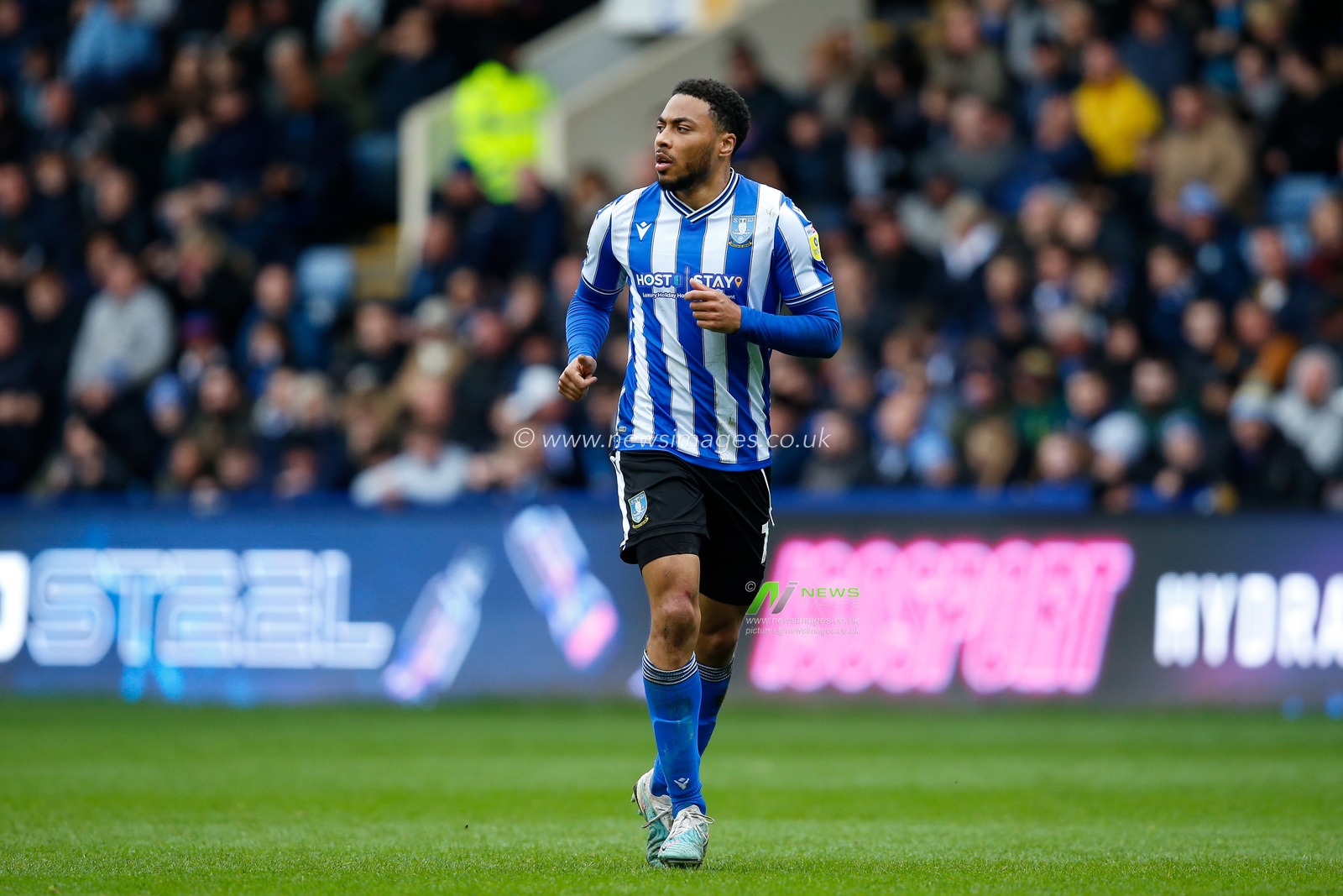 Akin Famewo #15 of Sheffield Wednesday during the Sky Bet League 1 match Sheffield Wednesday vs Lincoln City at Hillsborough, Sheffield, United Kingdom, 1st April 2023

(Photo by Ben Early/News Images)