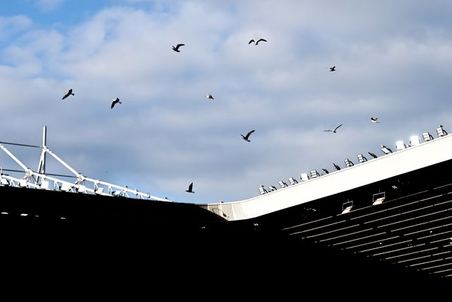 Premier League: Sunderland v Brighton & Hove Albion