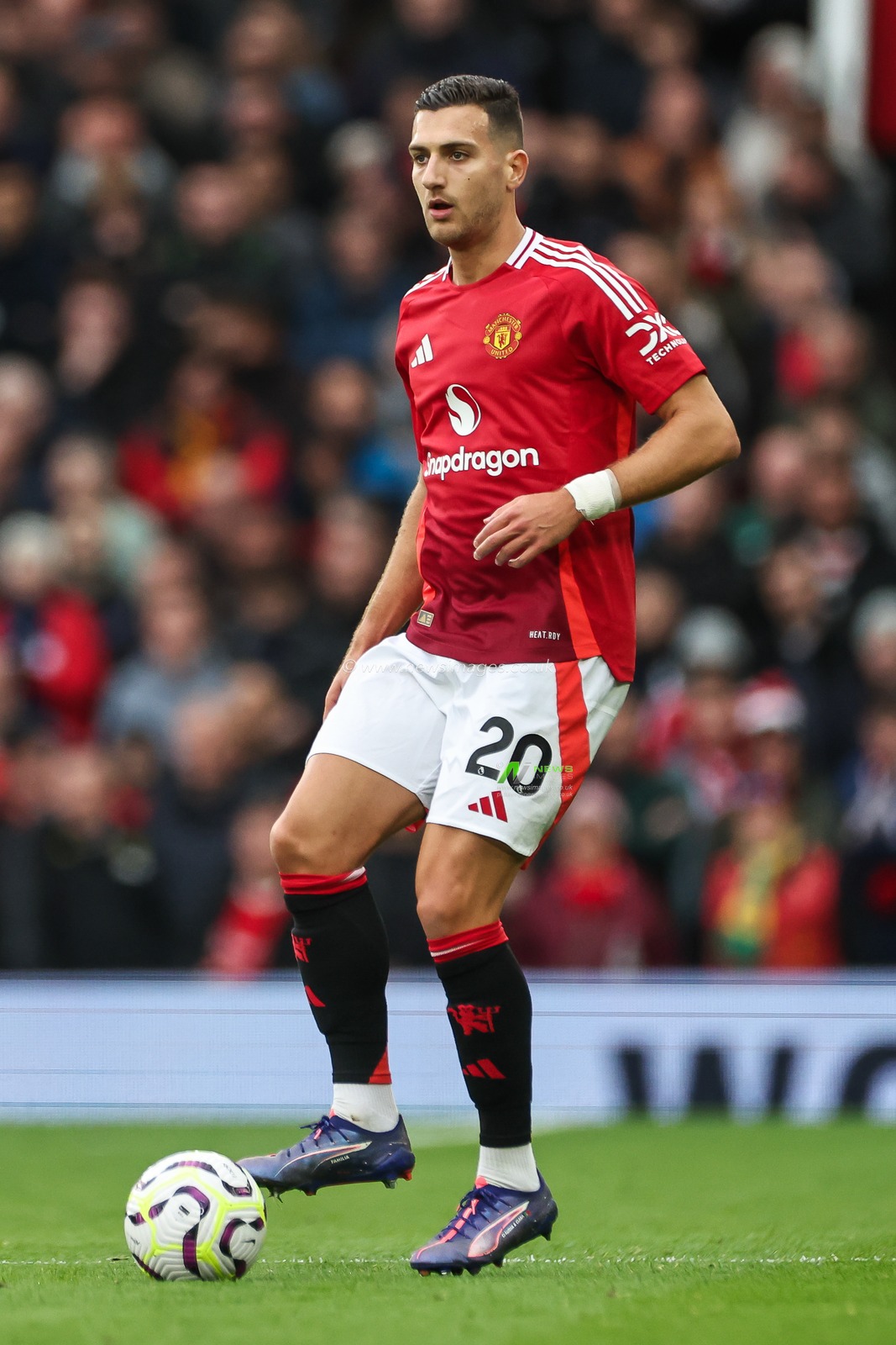 Diogo Dalot of Manchester United in action during the Premier League match Manchester United vs Tottenham Hotspur at Old Trafford, Manchester, United Kingdom, 29th September 2024

(Photo by Mark Cosgrove/News Images)