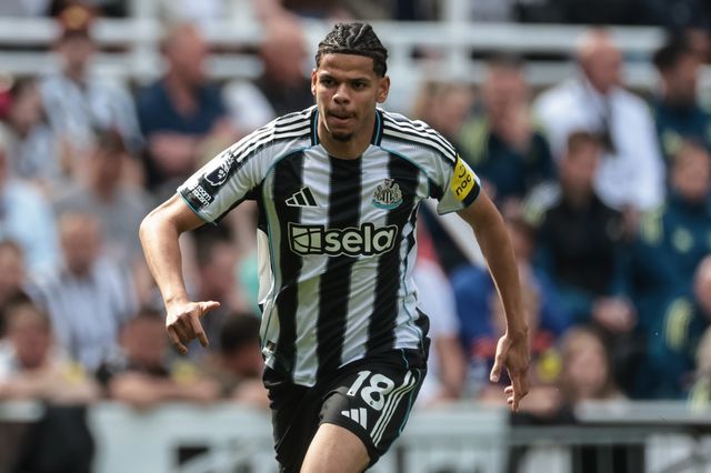 Premier League: Newcastle Untied v Brighton & Hove Albion